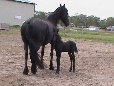 Leona and Libby